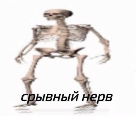 Что делает ваш день лучше?